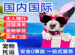 首都机场托运国际宠物托运 【国